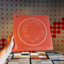 Load image into Gallery viewer, [USED] FEIST - LET IT DIE (LP)

