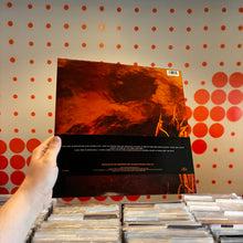 Load image into Gallery viewer, [USED] VAN MORRISON - AVALON SUNSET (LP)
