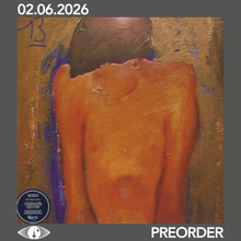 Load image into Gallery viewer, BLUR - 13 (2xLP)
