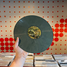 Load image into Gallery viewer, [USED] BIG THIEF - DRAGON NEW WARM MOUNTAIN I BELIEVE IN YOU (2xLP)
