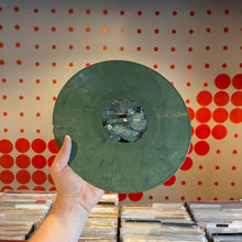 Load image into Gallery viewer, [USED] BIG THIEF - DRAGON NEW WARM MOUNTAIN I BELIEVE IN YOU (2xLP)
