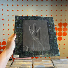 Load image into Gallery viewer, [USED] BUILT TO SPILL - THERE IS NO ENEMY (2xLP)
