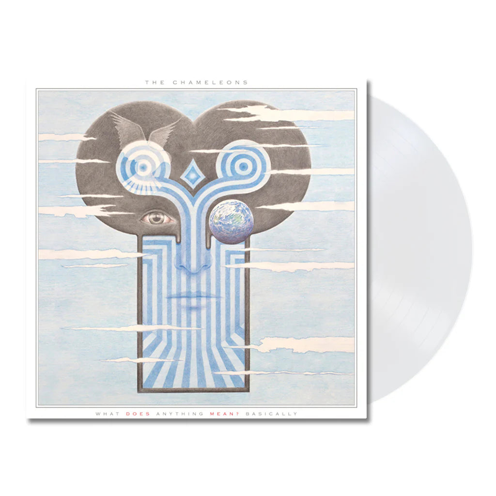 CHAMELEONS - WHAT DOES ANYTHING MEAN? BASICALLY (LP)