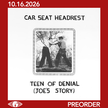 Load image into Gallery viewer, CAR SEAT HEADREST - TEEN OF DENIAL: JOE'S STORY (2xLP/CD)
