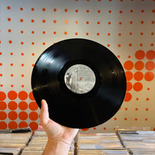 Load image into Gallery viewer, [USED] BUILT TO SPILL - THERE IS NO ENEMY (2xLP)
