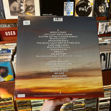 Load image into Gallery viewer, SPINAL TAP - THE END CONTINUES (ALTERNATE COVER) [RSDBF25] (LP)
