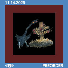 Load image into Gallery viewer, DRIVE-BY TRUCKERS - THE DEFINITIVE DECORATION DAY (4xLP/3xCD)
