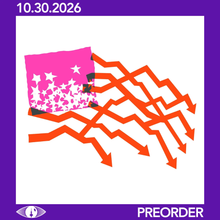Load image into Gallery viewer, DIIV - ZIRP! (LP/CD)
