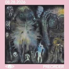 Load image into Gallery viewer, DINOSAUR JR. - THERE NEAR (LP/CD)
