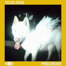Load image into Gallery viewer, FAT DOG - CANCEL ME [I'M TIRED] (LP/CD)
