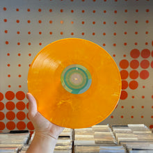Load image into Gallery viewer, [USED] TY SEGALL - MELTED (LP)
