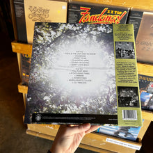 Load image into Gallery viewer, VICKI PETERSON AND JOHN COWSILL - LONG AFTER THE FIRE [RSD25] (LP)
