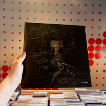 Load image into Gallery viewer, [USED] TREY ANASTASIO - GHOSTS OF THE FOREST (LP)

