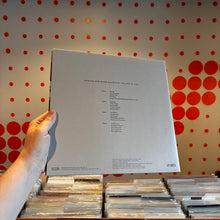 Load image into Gallery viewer, [USED] BIG THIEF - DRAGON NEW WARM MOUNTAIN I BELIEVE IN YOU (2xLP)
