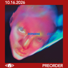 Load image into Gallery viewer, FONTAINES D.C. - DOPAMINE CHAMBER (LP/CD/CASSETTE)
