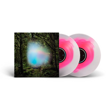 Load image into Gallery viewer, GHOSTS OF THE FOREST [TREY ANASTASIO] - GHOSTS OF THE FOREST (2xLP)
