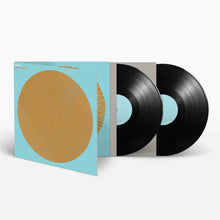 Load image into Gallery viewer, HOT CHIP - MADE IN THE DARK (2xLP/CD)
