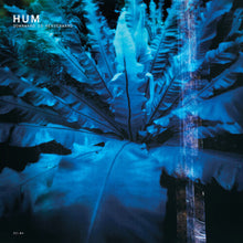 Load image into Gallery viewer, HUM - DOWNWARD IS HEAVENWARD (2xLP/CD)
