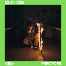 Load image into Gallery viewer, JANE REMOVER - REVENGESEEKERZ (LP)
