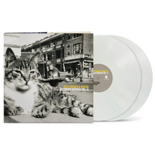 Load image into Gallery viewer, WILCO + BILLY BRAGG - MERMAID AVENUE VOL. II (2xLP)
