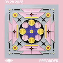 Load image into Gallery viewer, MIKE D - THANK YOU (LP/CD)
