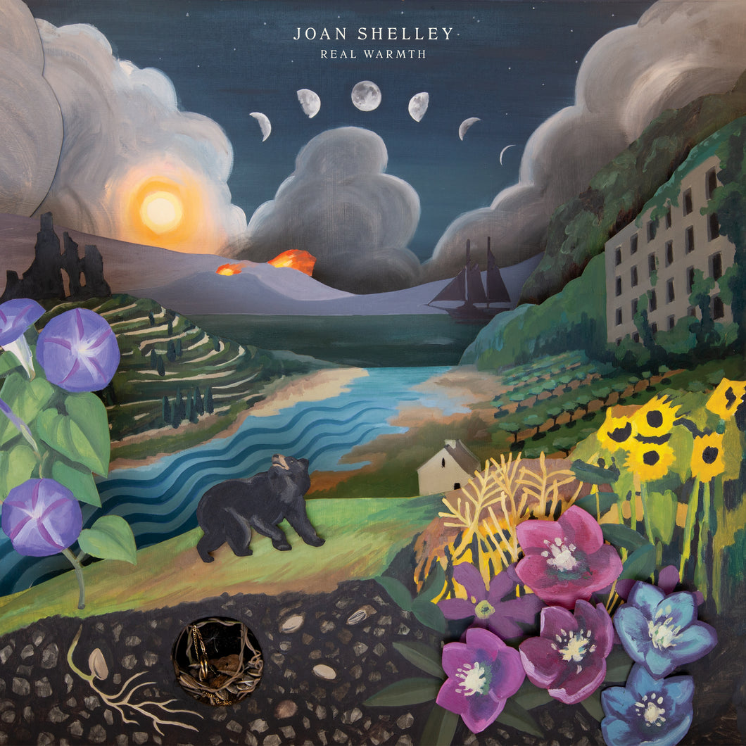 JOAN SHELLEY - REAL WARMTH (LP)