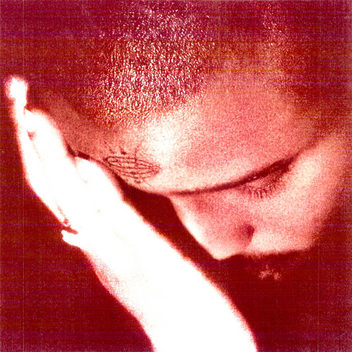 NOURISHED BY TIME - THE PASSIONATE ONES (LP)