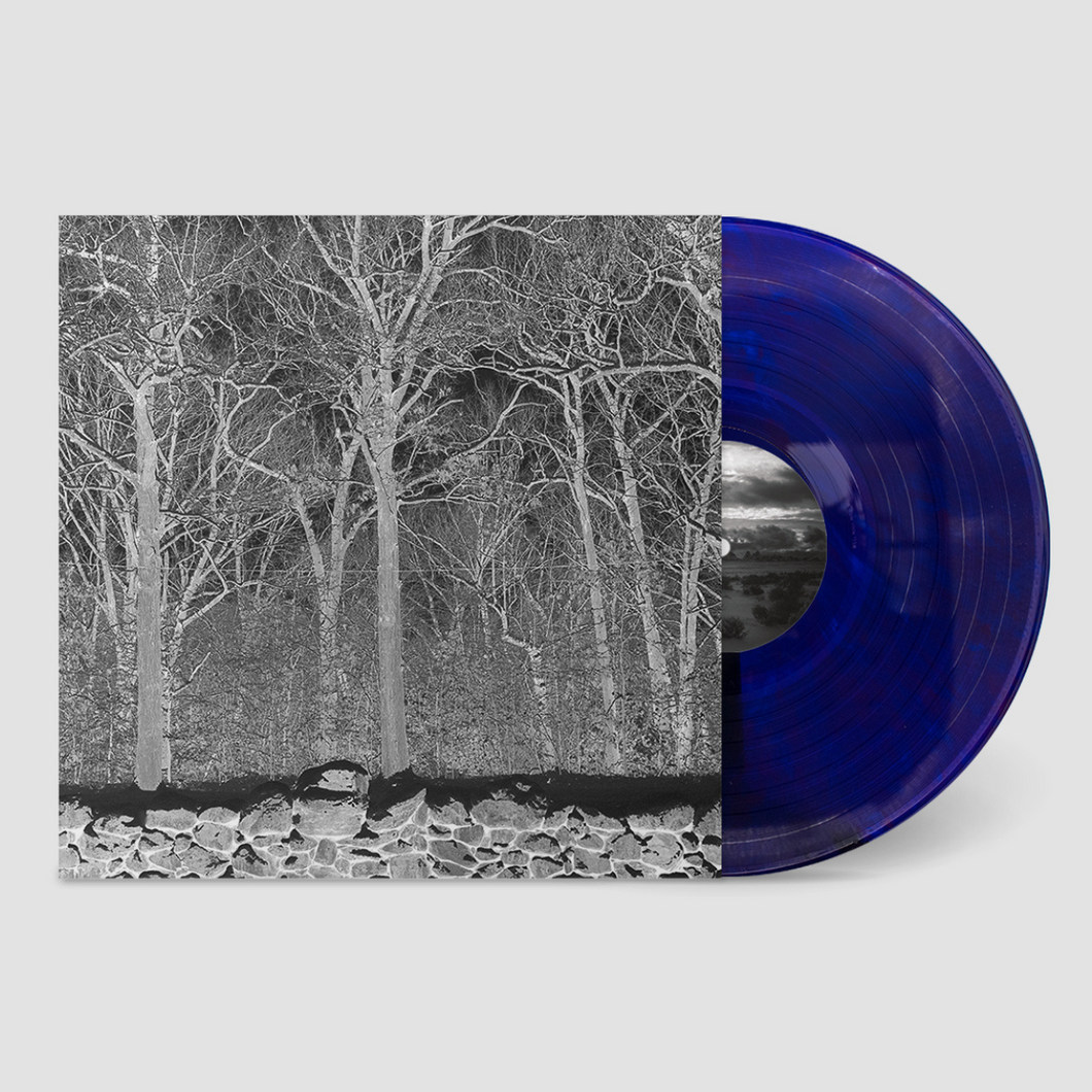 PILE - SUNSHINE and BALANCE BEAMS (LP)