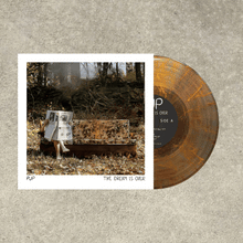 Load image into Gallery viewer, PUP - THE DREAM IS OVER (LP/CD/CASSETTE)
