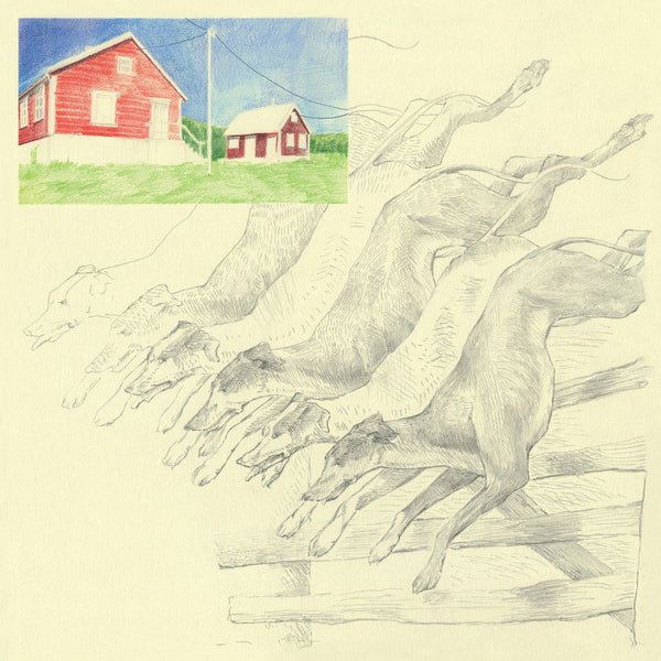 QUICKLY QUICKLY - I HEARD THAT NOISE (LP)