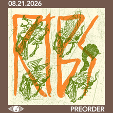 Load image into Gallery viewer, RIBS - COLD RIBS (LP)
