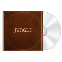 Load image into Gallery viewer, JUNGLE - SUNSHINE (LP/CD)
