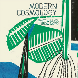 MODERN COSMOLOGY - WHAT WILL YOU GROW NOW? (LP)