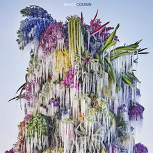 Load image into Gallery viewer, [AUTOGRAPHED] WILCO - COUSIN (LP)
