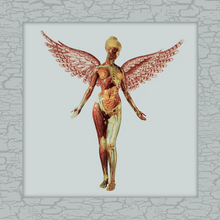 Load image into Gallery viewer, NIRVANA - IN UTERO [30th ANNIVERSARY] (8xLP BOX SET)
