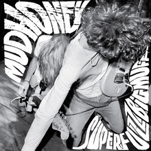 Load image into Gallery viewer, MUDHONEY - SUPERFUZZ BIGMUFF (LP)
