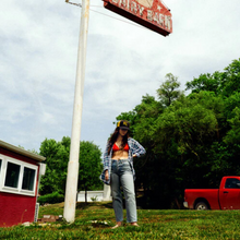 Load image into Gallery viewer, WAXAHATCHEE - TIGER&#39;S BLOOD (LP)
