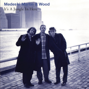 MEDESKI, MARTIN, & WOOD - IT'S A JUNGLE IN HERE (LP)