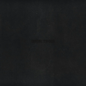 VINCE STAPLES - DARK TIMES (LP)