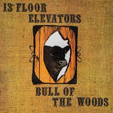 13TH FLOOR ELEVATORS - BULL OF THE WOODS (LP)