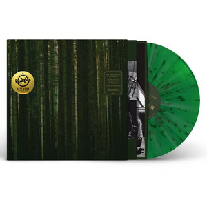 PAPER KITES - EVERGREEN (LP)