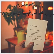 MOUNT EERIE - A CROW LOOKED AT ME (LP)