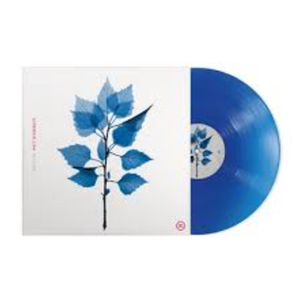 MATT BERINGER - GET SUNK (LP)