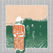 Load image into Gallery viewer, CAMPER VAN BEETHOVEN - TELEPHONE FREE LANDSLIDE VICTORY (LP/2xCD)
