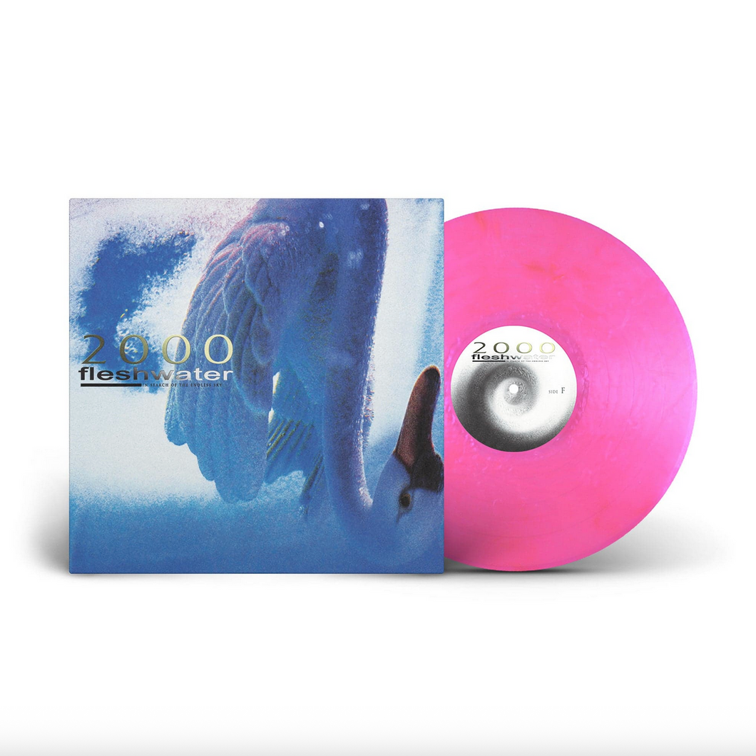 FLESHWATER - 2000: IN SEARCH OF THE ENDLESS SKY (LP)