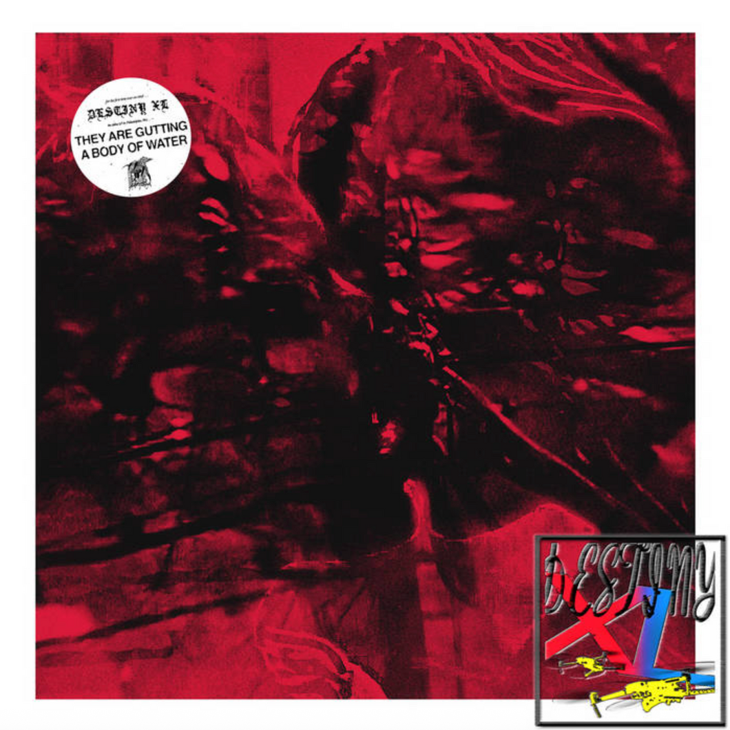 THEY ARE GUTTING A BODY OF WATER - DESTINY XL (LP)