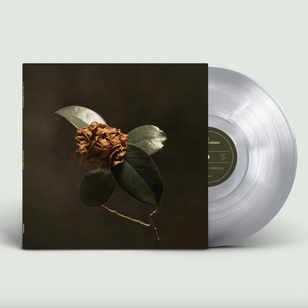 ST. PAUL & THE BROKEN BONES - YOUNG SICK CAMELLIA (LP)