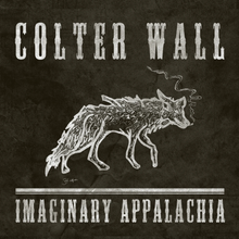 Load image into Gallery viewer, COLTER WALL - IMAGINARY APPALACHIA (LP/CD)

