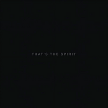 Load image into Gallery viewer, BRING ME THE HORIZON - THAT'S THE SPIRIT (LP)
