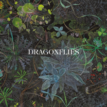 Load image into Gallery viewer, DRAGONFLIES - DRAGONFLIES (LP/CD)

